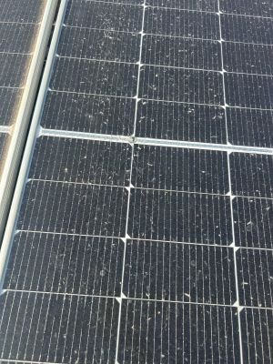 Damaged Solar Modules